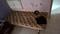 Gorwa Bedroom One 1