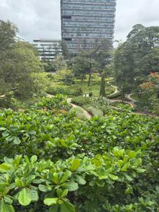 Image of 1169 Sq.ft 2 BHK Apartment / Flat for sale in Mythreyi Naimisha, Adugodi, Bengaluru for Rs. 18000000