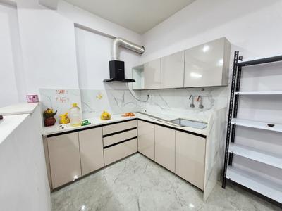 Kitchen Image of 600 Sq.ft 1 BHK Apartment / Flat for rent in Scheme No 114 Indore for Rs. 13000