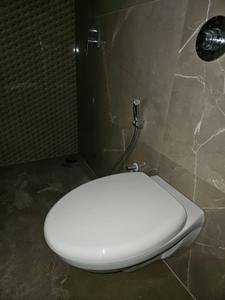 Common Bathroom Image of 610 Sq.ft 1 BHK Apartment / Flat for rent in Spring Glory Apartment, Kharadi Pune for Rs. 25000