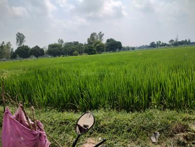 Image of 91800 Sq.ft Residential Plot / Land for sale in Sultanpur Road, Lucknow for Rs. 45000000
