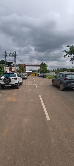 Ruby Sizzle Heritage Main Image 1