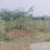 Ganesh Nagar, GN Mills Main Image 1