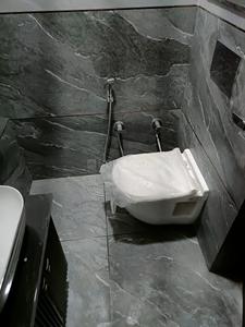 Bathroom Image of 850 Sq.ft 2 BHK Builder Floor for rent in Pitampura New Delhi for Rs. 37000