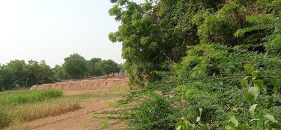 Ghuma Plot View 3