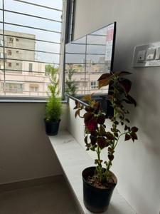 Balcony Image of 250 Sq.ft 1 RK Apartment / Flat for rent in Doddanekundi Bengaluru for Rs. 16499