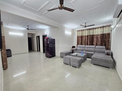 Hall Image of 1700 Sq.ft 2 BHK Apartment / Flat for rent in E Block SBS Nagar Ludhiana for Rs. 32000