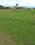 Badowala Main Image 1