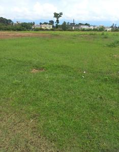 Badowala Plot View 1