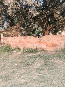 Image of 350 Sq.ft Residential Plot / Land for sale in Delta III, Greater Noida for Rs. 40000000