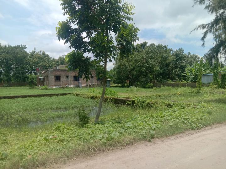 Residential plot Sonarpur Main Image 1