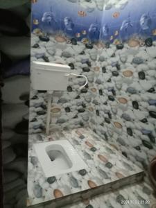Bathroom Image of 600 Sq.ft 2 BHK Duplex for rent in Fazullaganj Lucknow for Rs. 7000