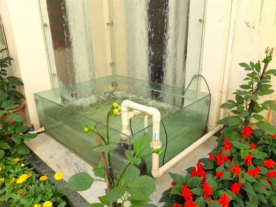 Image of 6000 Sq.ft 6 BHK Villa for sale in LDA Vishesh Khand, Gomti Nagar, Lucknow for Rs. 62500000
