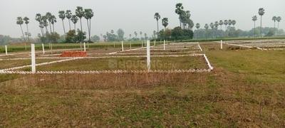 Bihta More Images 2