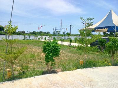 Residential Plot