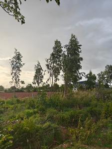 Aishwarya Residency Plot View 3