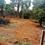 Karukutty Main Image 1