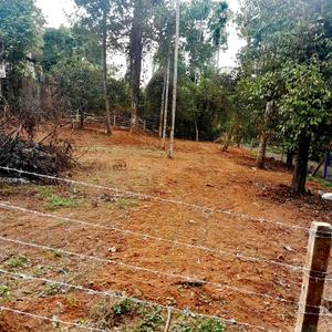 Karukutty Plot View 1