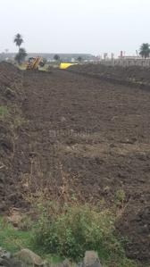 Shree Tulip Grande Plot View 2