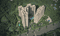 One World Main Image 1