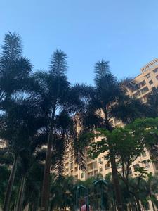 Image of 850 Sq.ft 2 BHK Apartment / Flat for sale in DSS Mahavir Kalpavruksha, Kasarvadavali, Thane for Rs. 8600000