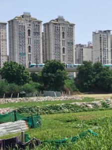 Image of 4500 Sq.ft Residential Plot / Land for sale in Sector 78, Noida for Rs. 37500000
