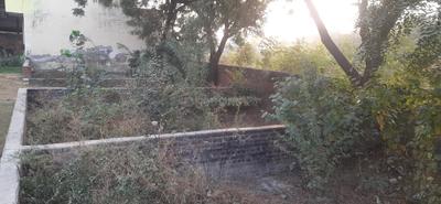 Sector 109 Plot View 2