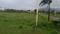 Spre fursungi pune Main Image 1