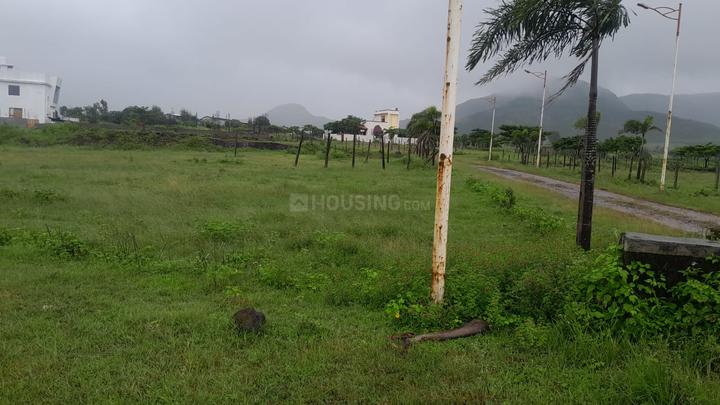 Spre fursungi pune Main Image 1