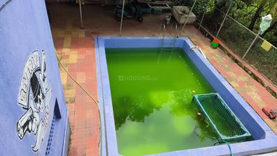 Swimming Pool Image of 6500 Sq.ft 5 BHK Independent House for sale in Zanzroli Mumbai for Rs. 12600000
