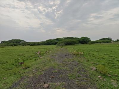 Image of 1200 Sq.ft Residential Plot / Land for sale in Singaperumal Koil, Chennai for Rs. 2400000