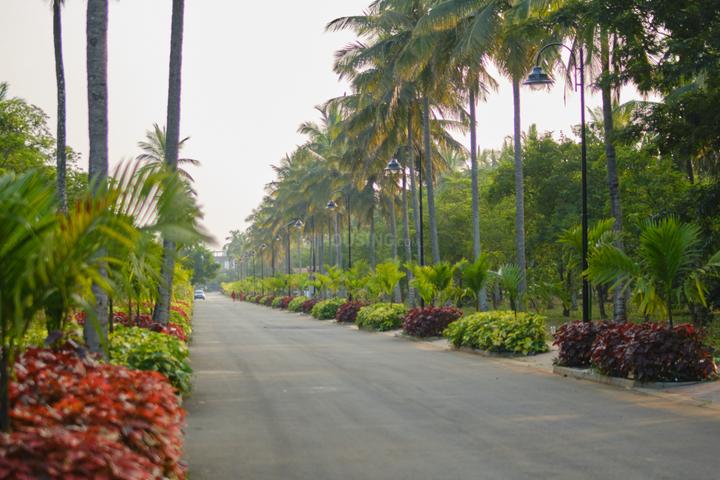 DRA Ranka Palm Lakeside Main Image 1