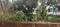 Argora Plot View 2