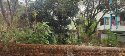 Argora Plot View 2