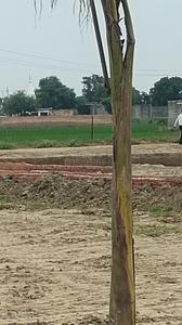 Image of 800 Sq.ft 3 BHK Independent House for sale in Sector 17A, Greater Noida for Rs. 3900000