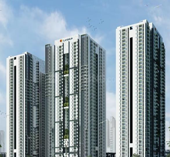 Candeur Main Image 1