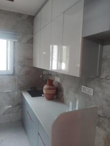 Kitchen Image of 700 Sq.ft 2 BHK Builder Floor for rent in Paschim Vihar New Delhi for Rs. 30000