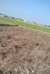 Residential Plot