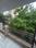 Balcony Image of Harmony pg in Mansarover Garden, New Delhi
