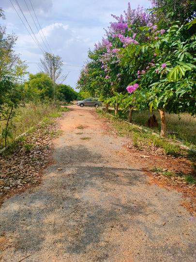 Shriram Bhairavi Main Image 1