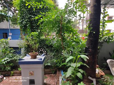 Balcony Image of Shobha's PG in Gokhalenagar, Pune