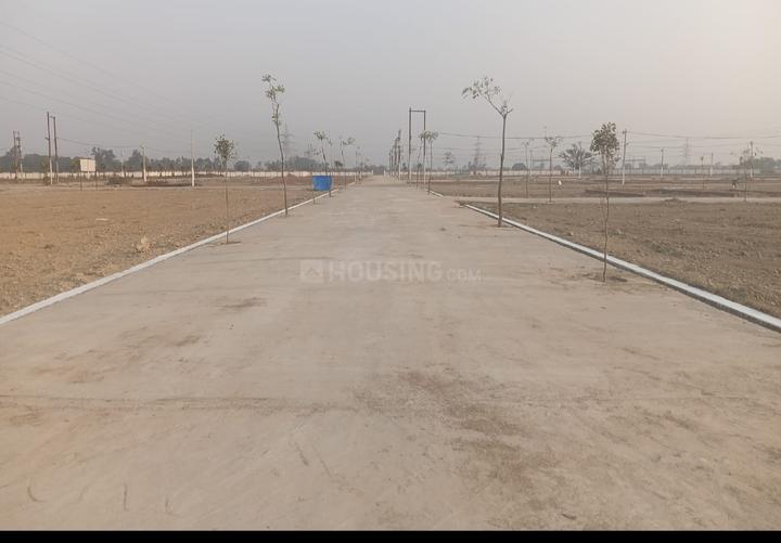 Phase 2 Main Image 1