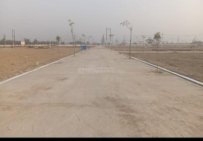 Phase 2 Plot View 1