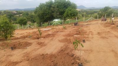 Image of 21780 Sq.ft Residential Plot / Land for sale in Shoolagiri, Krishnagiri for Rs. 3500000