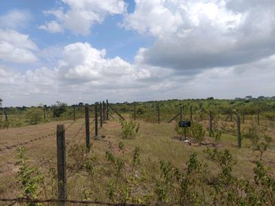 Image of 650 Sq.ft Residential Plot / Land for sale in Lohegaon, Pune for Rs. 1810000