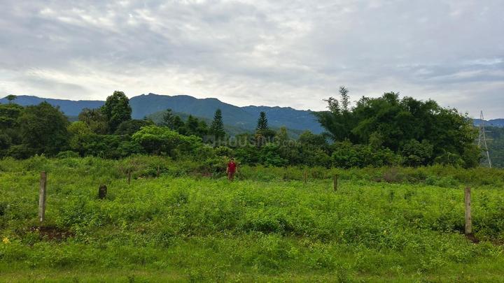 Investors Dhaulas Nature Farms Main Image 1