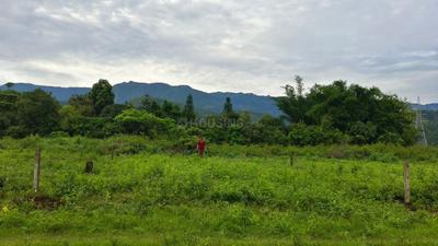Investors Dhaulas Nature Farms Main Image 1
