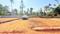 Mulanthuruthy Plot View 2