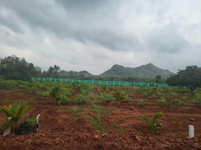 Image of 5432 Sq.ft 2 BHK Farm House for sale in Natham, Dindigul for Rs. 900000