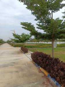 Residential Plot
